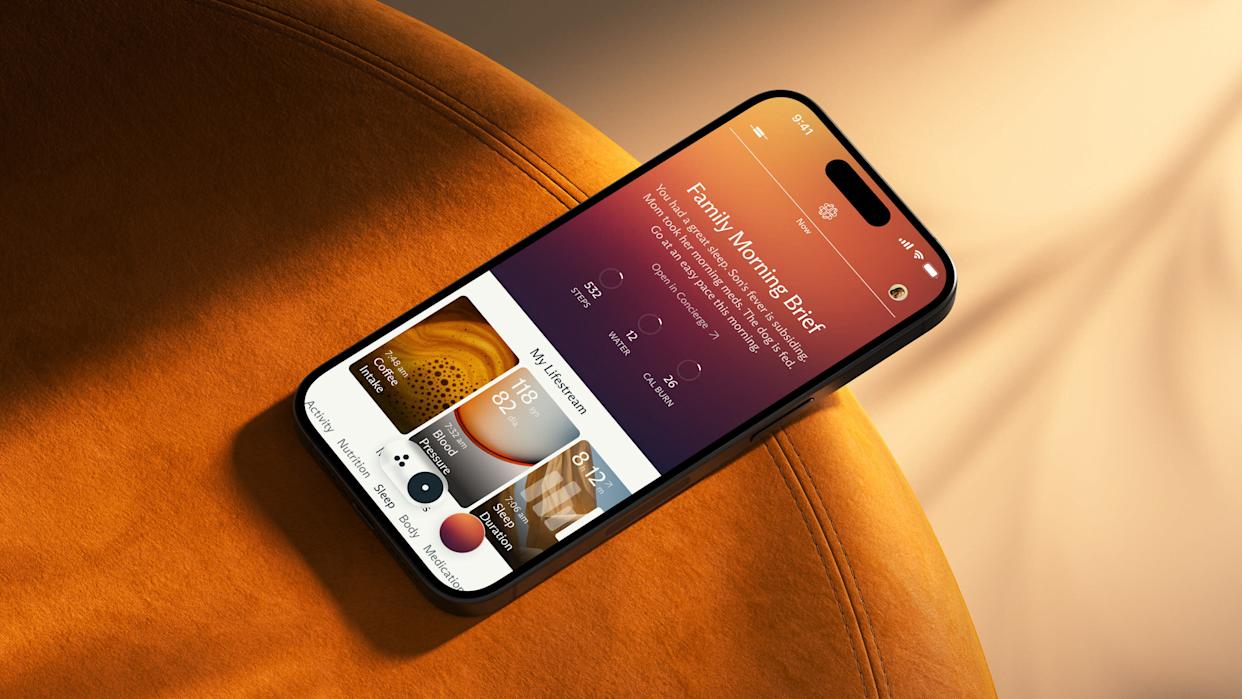 Fitbit-alapítók: Luffu – Egy család egészségi adatainak egyesítése! 2 Fitbit-alapítók: Luffu – Egy család egészségi adatainak egyesítése!