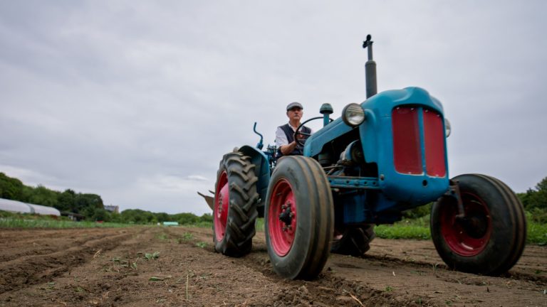 Traktor gumi: Miért különböző méretű az első és hátsó?